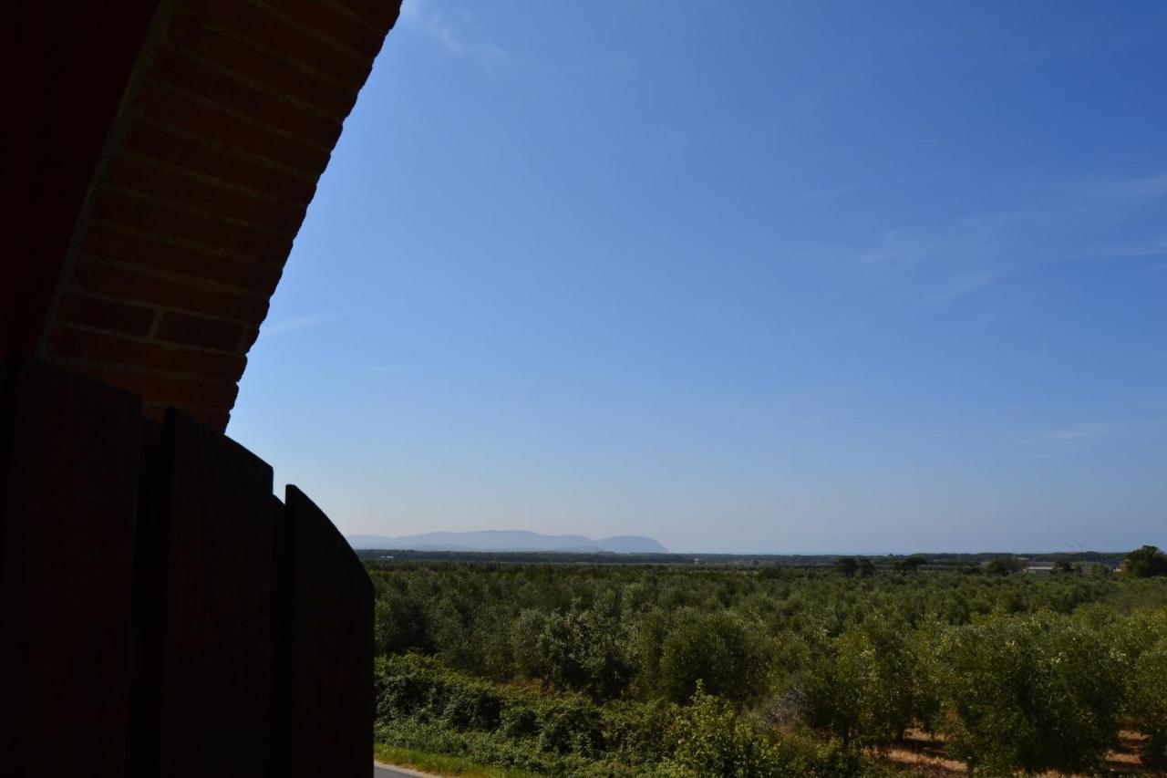 Podere San Giuseppe サン·ヴィンチェンツォ エクステリア 写真