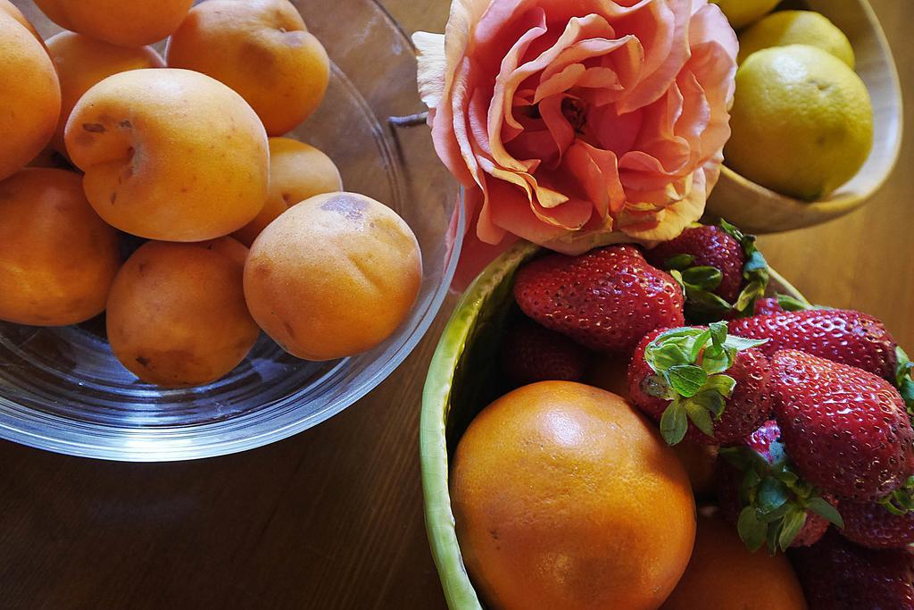 Podere San Giuseppe サン·ヴィンチェンツォ エクステリア 写真
