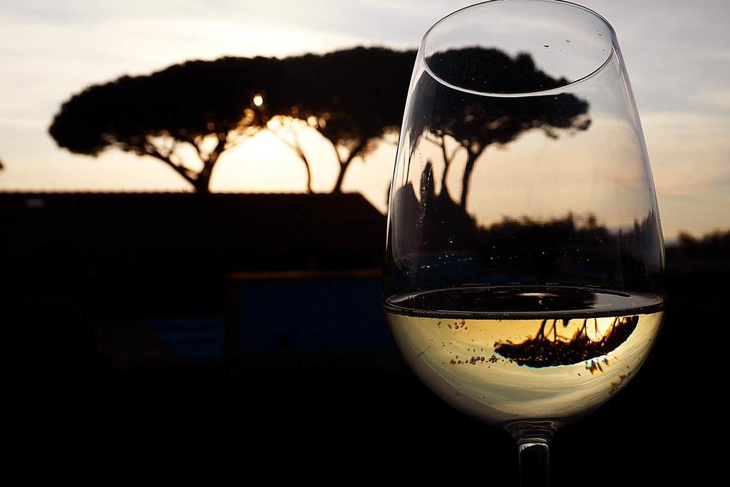 Podere San Giuseppe サン·ヴィンチェンツォ エクステリア 写真