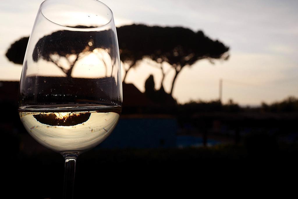 Podere San Giuseppe サン·ヴィンチェンツォ エクステリア 写真