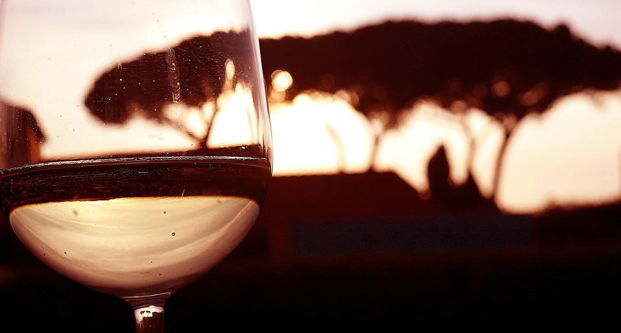 Podere San Giuseppe サン·ヴィンチェンツォ エクステリア 写真